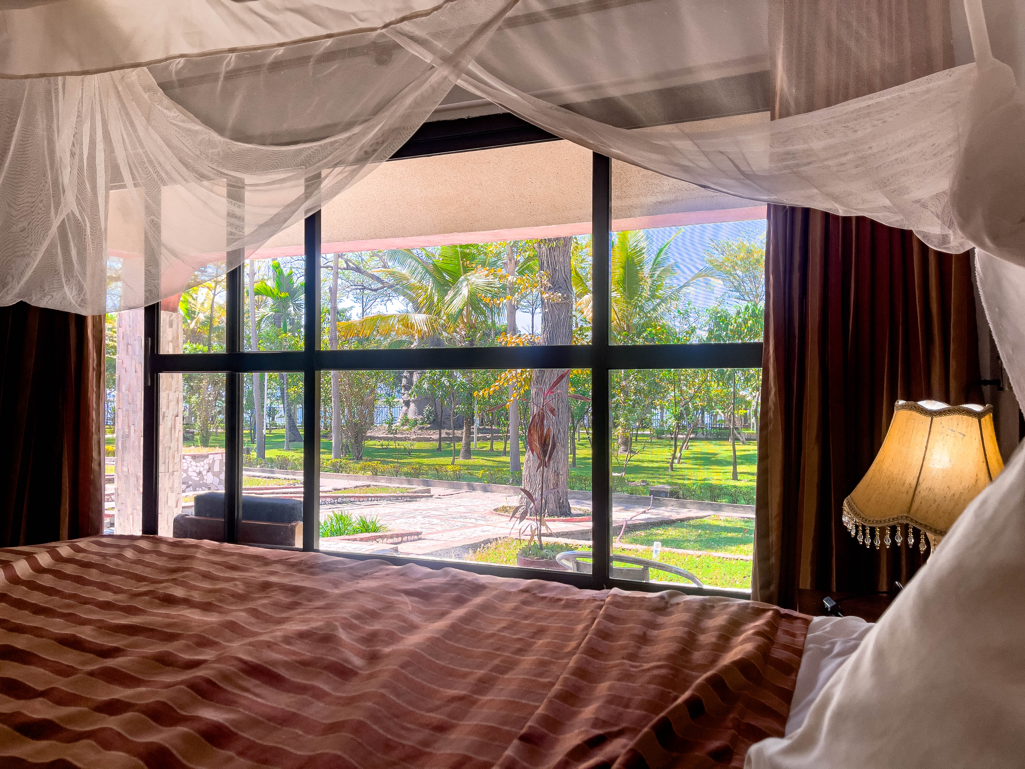 A room surrounded by palm trees