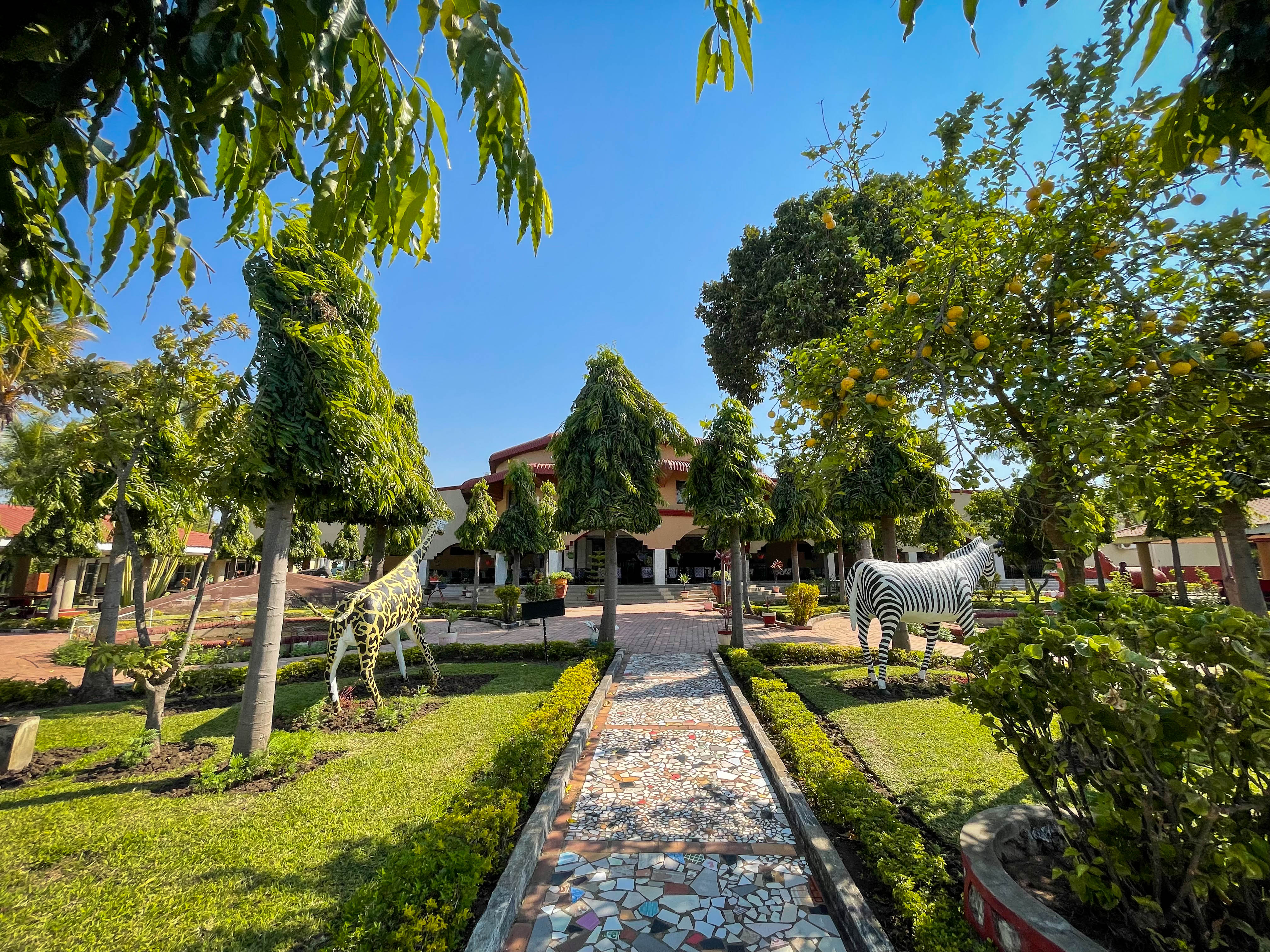 garden