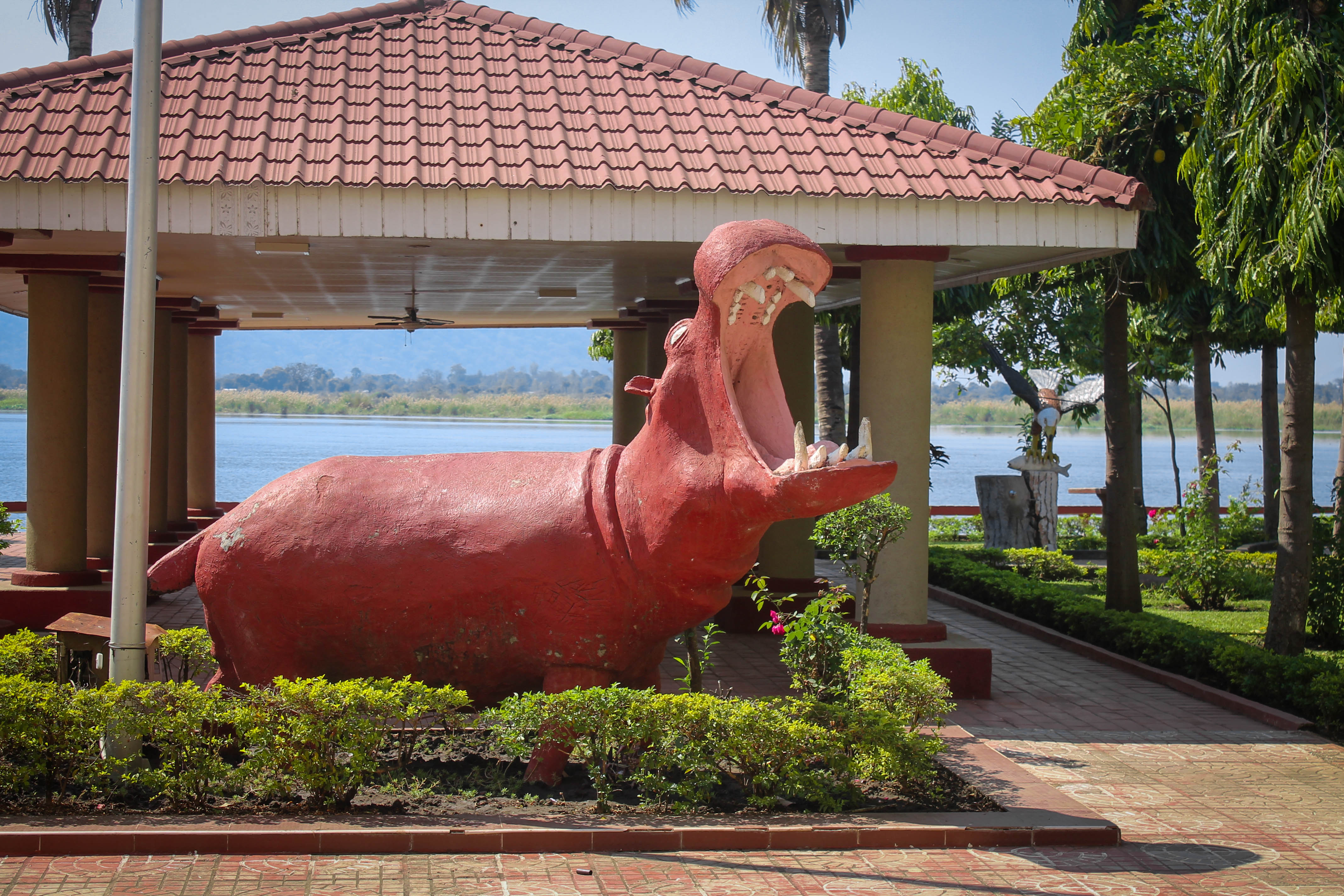 Hippo statue