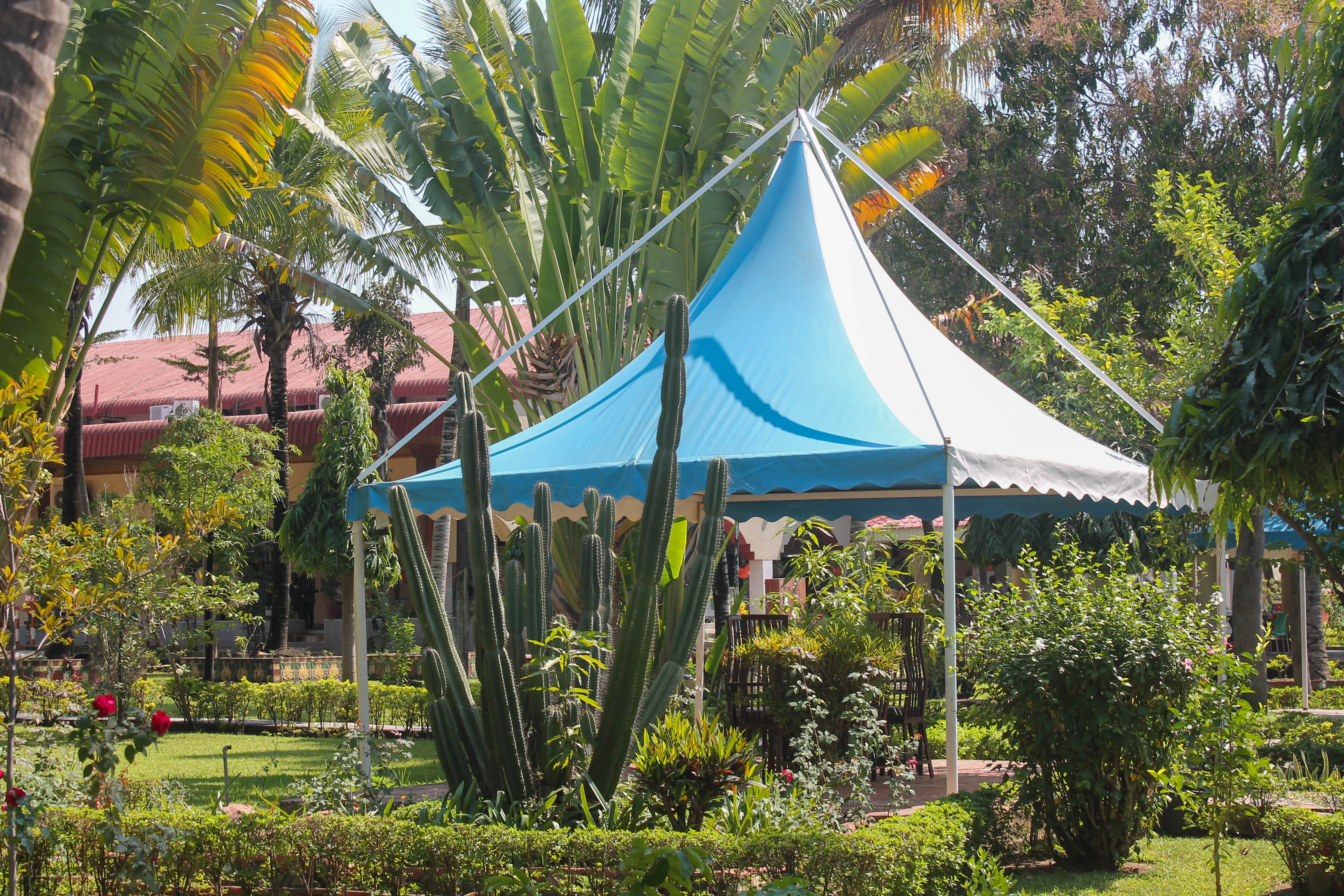 view of garden