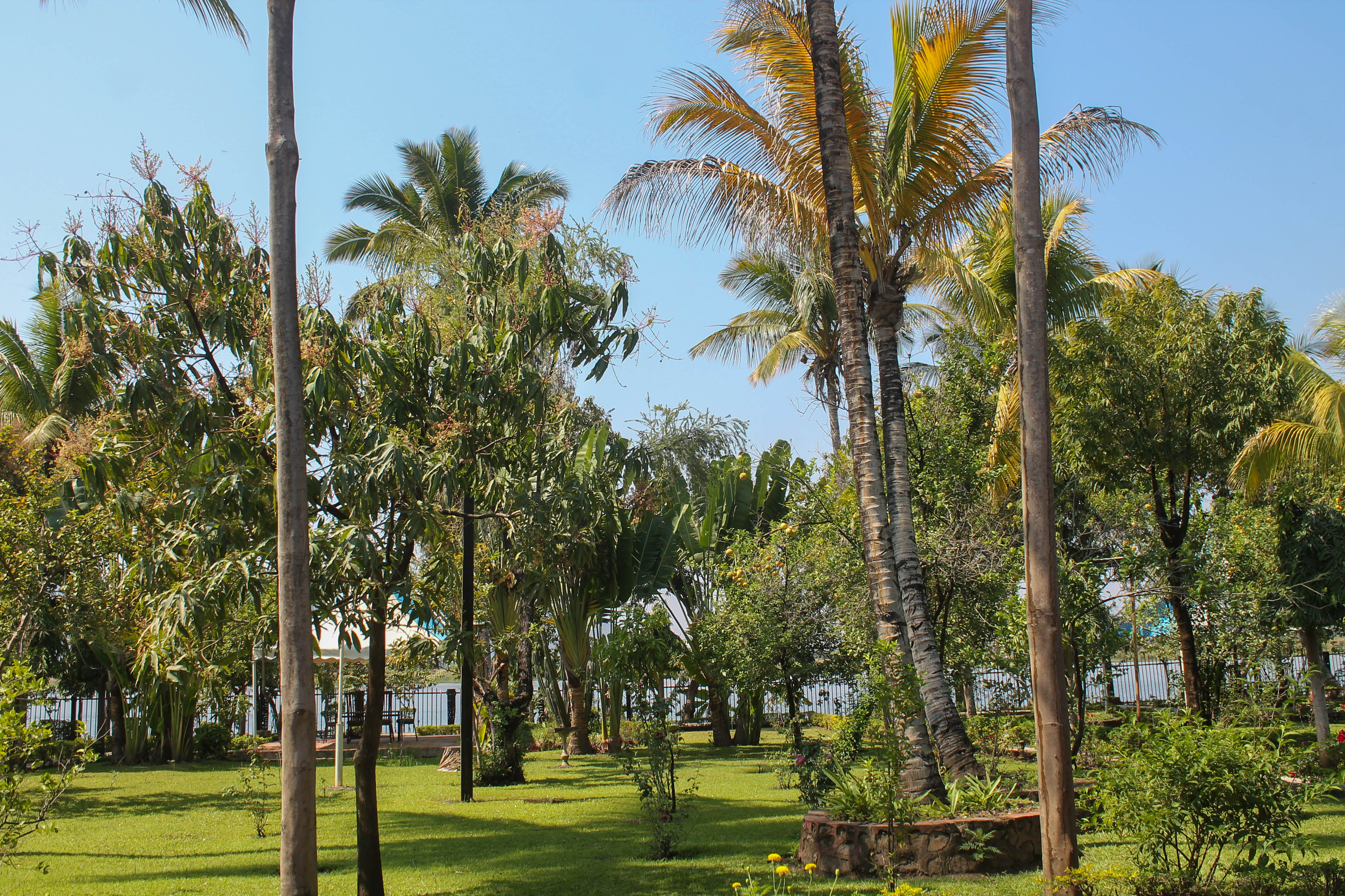 view of garden