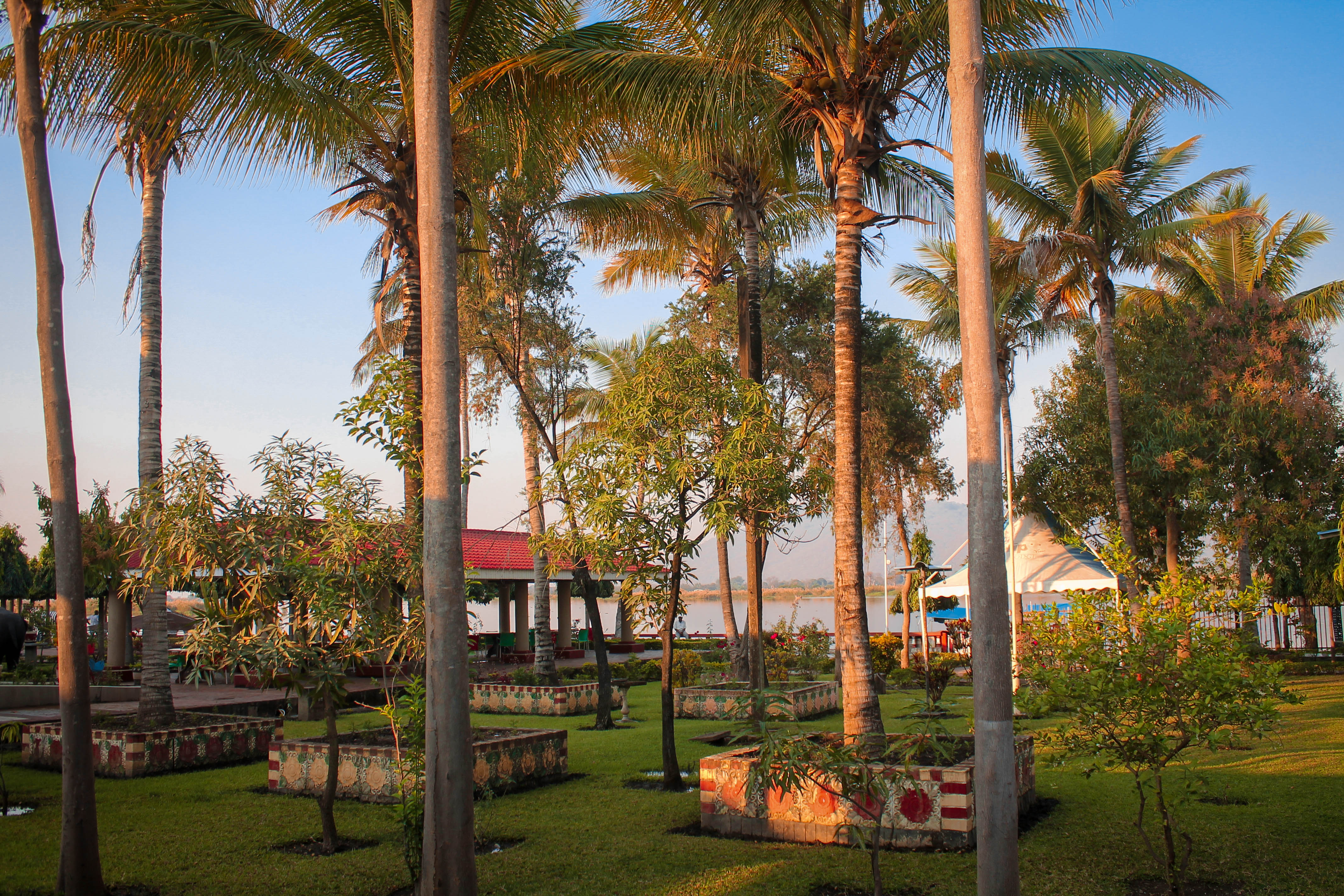 view of garden