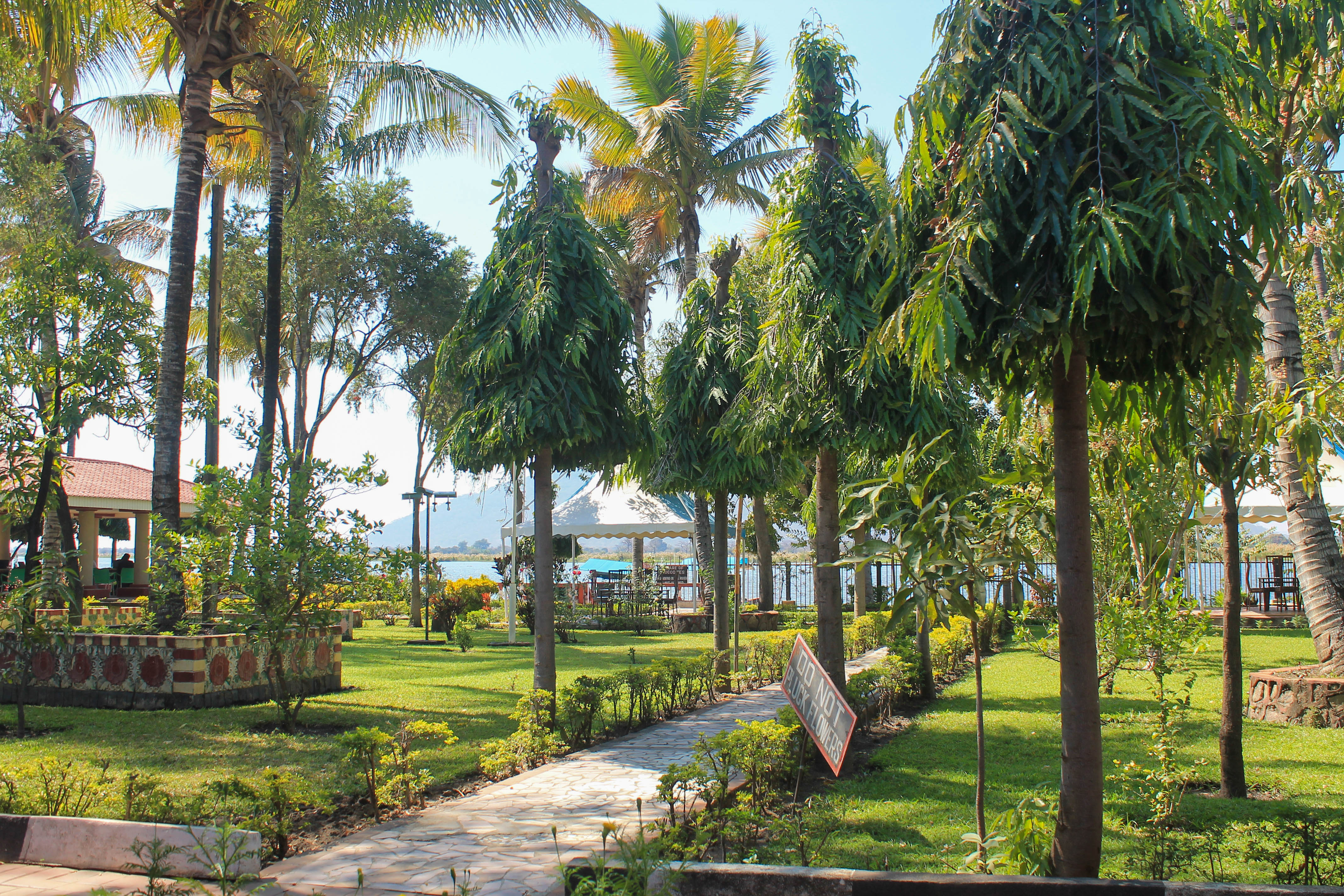 view of garden