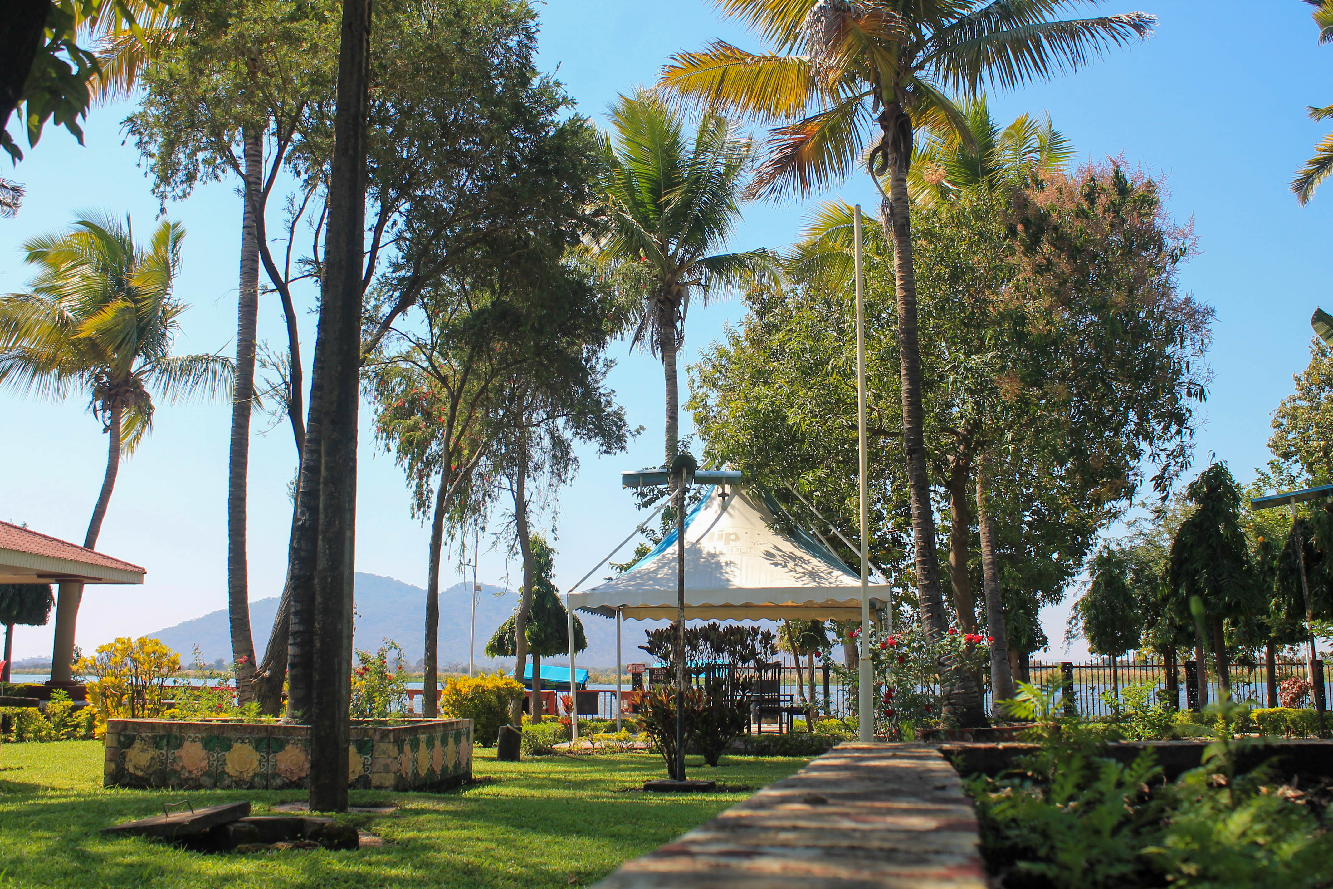 view of garden